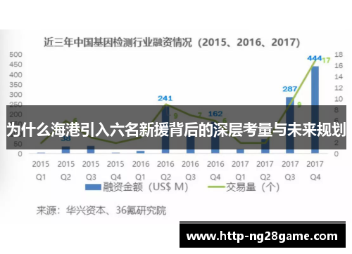 为什么海港引入六名新援背后的深层考量与未来规划